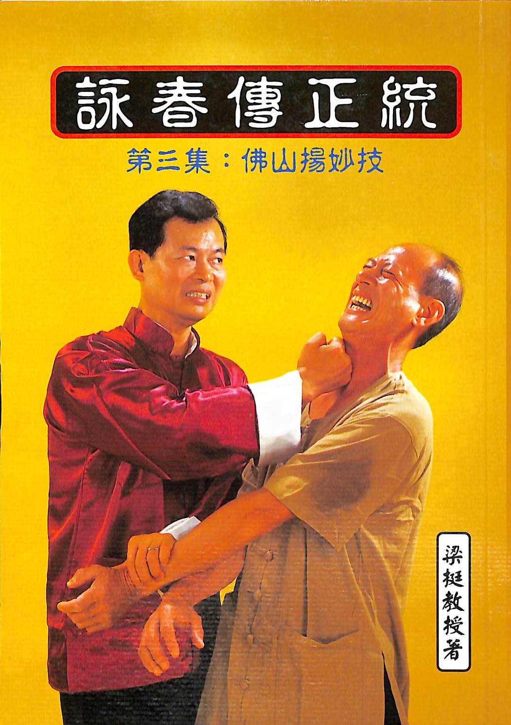 WINGTSUN STORIES #3