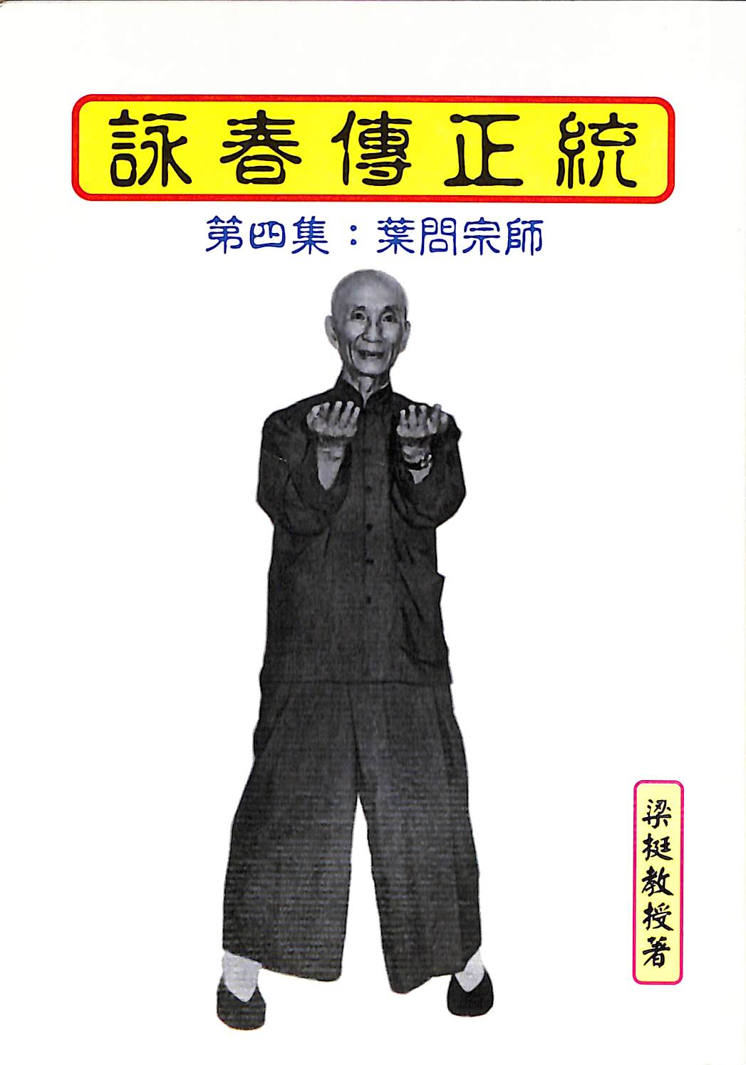 WINGTSUN STORIES #4