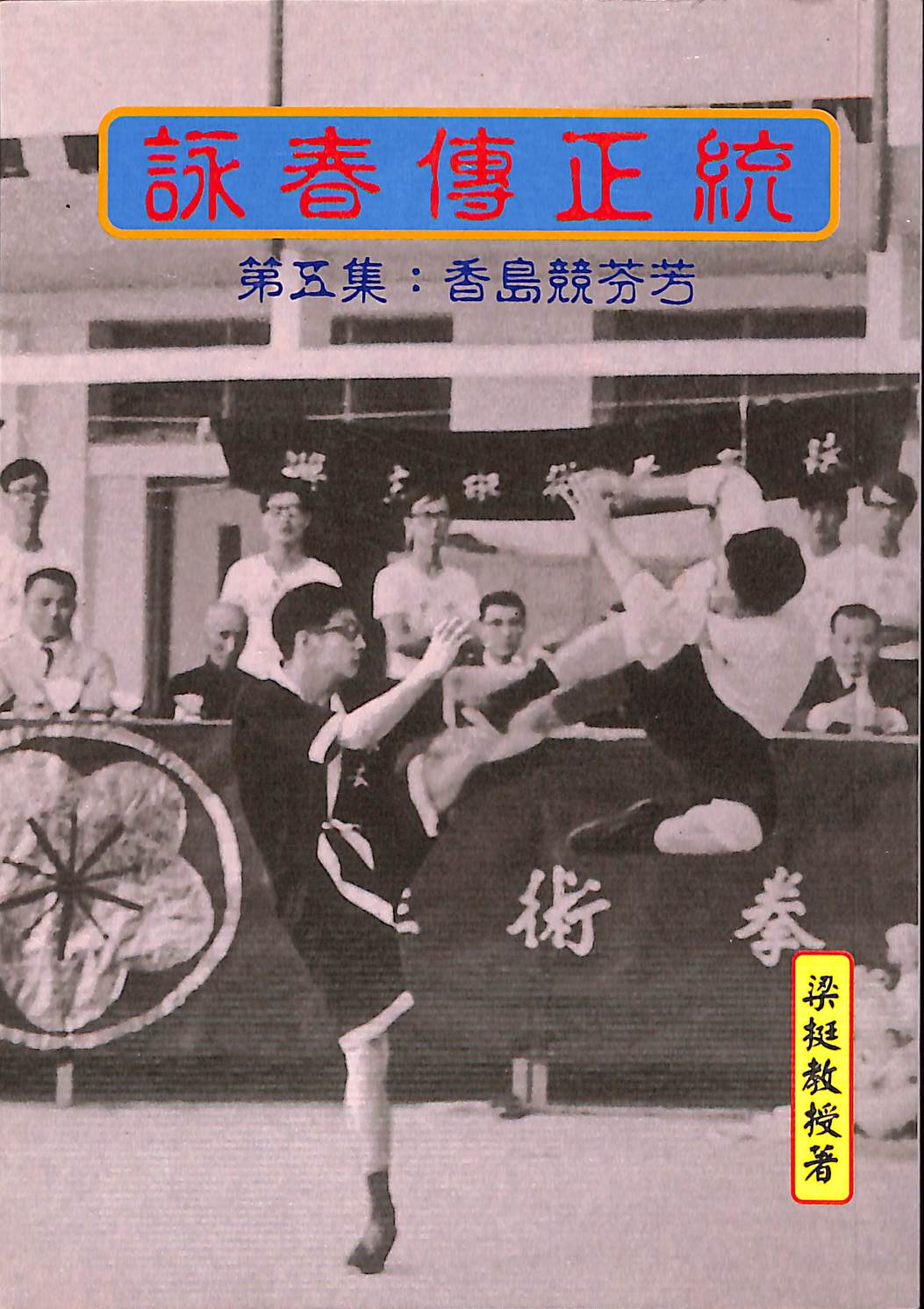 WINGTSUN STORIES #5