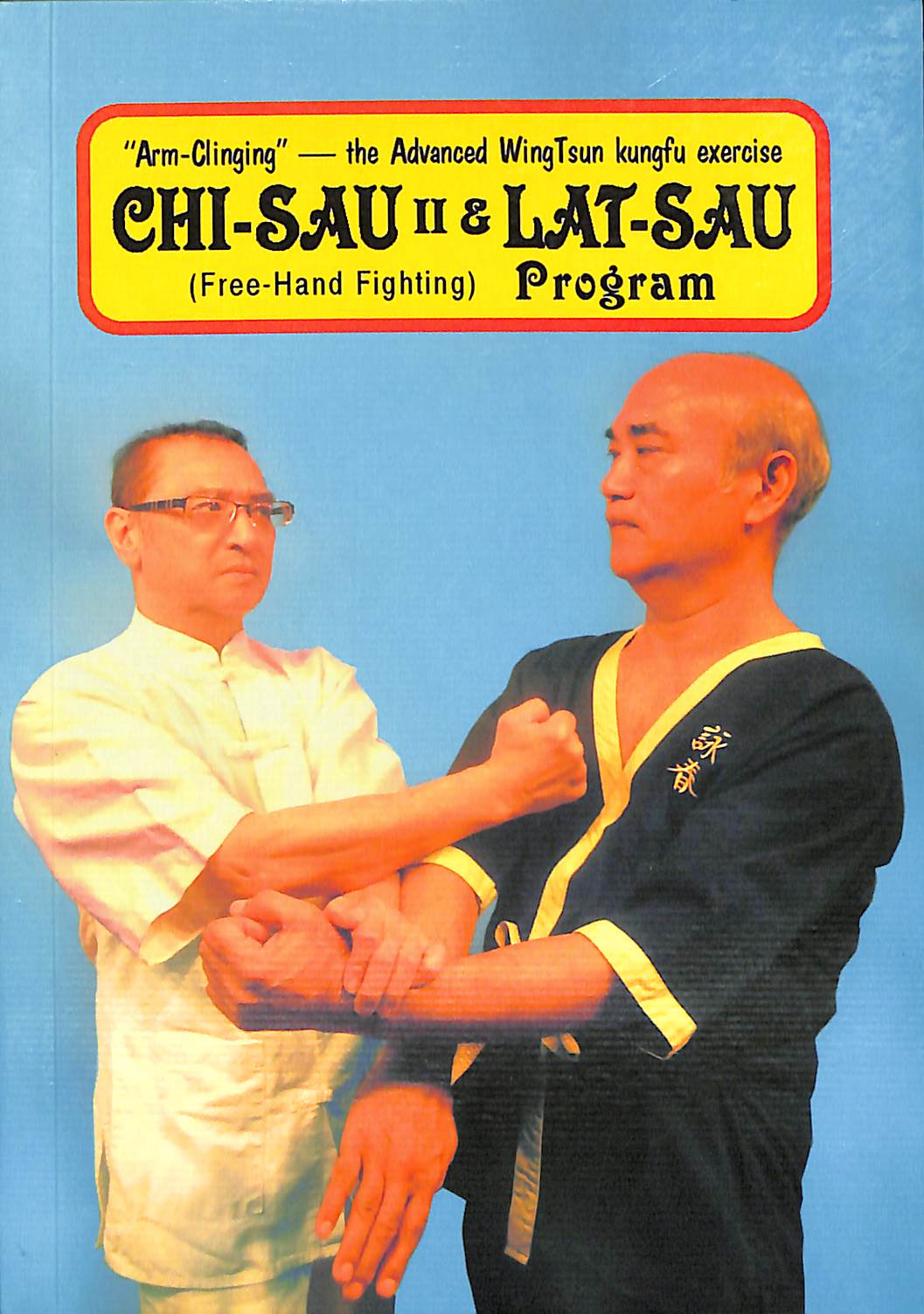 WINGTSUN CHI-SAU—The Second Section