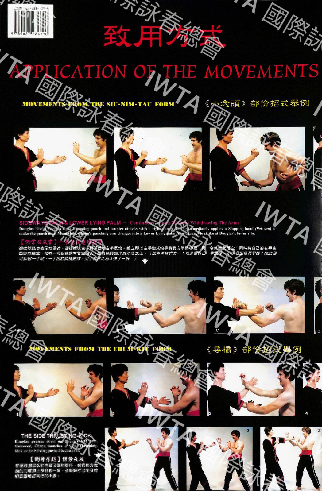 WINGTSUN FULL-COLORED POSTER - APPLICATIONS OF THE FORMS by Cheng Chuen Fun & John