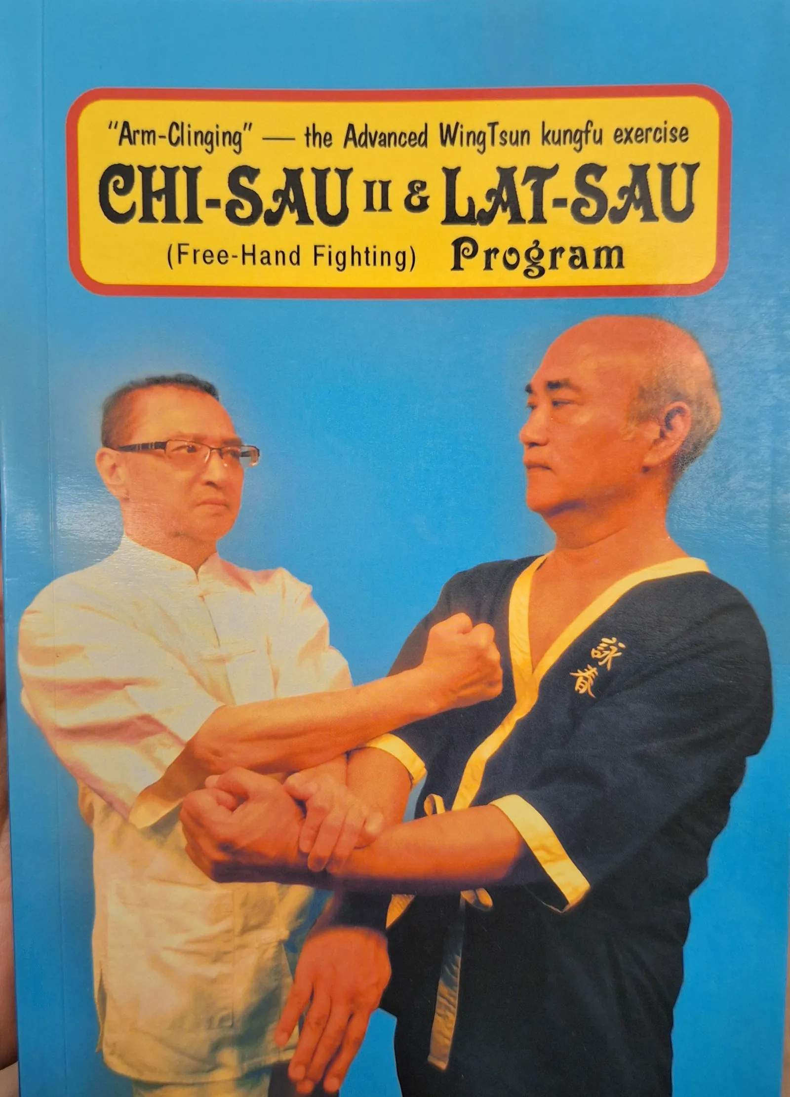 WINGTSUN CHI-SAU—The Second Section